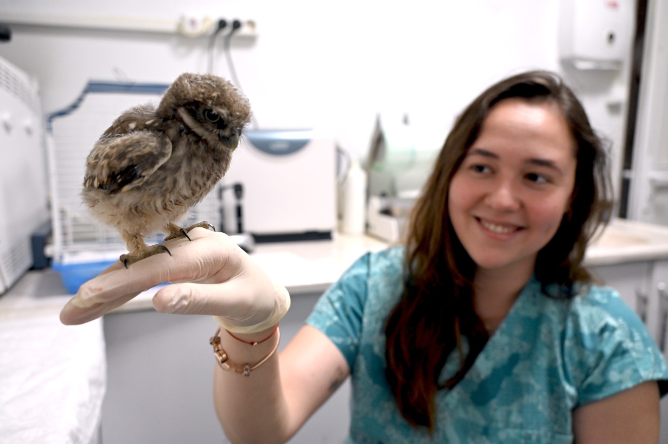 YAVRU BAYKUŞA VETERİNERLİK İŞLERİ MÜDÜRLÜĞÜMÜZ SAHİP ÇIKTI