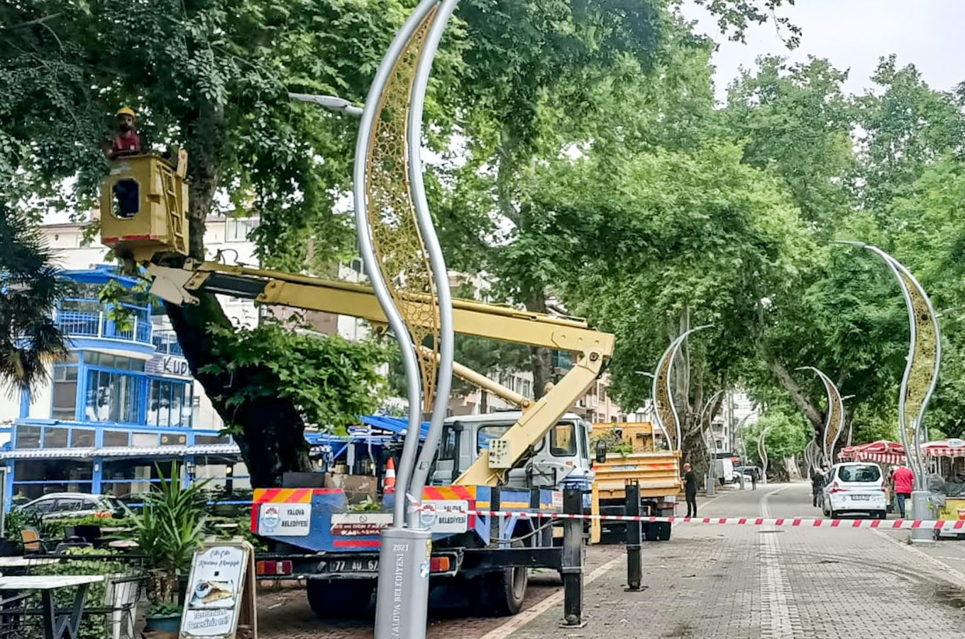 AĞAÇ BUDAMA ÇALIŞMALARI DEVAM EDİYOR