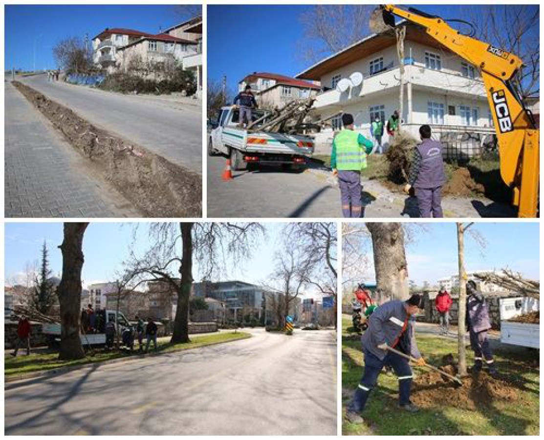 AĞAÇLAR BAŞKA YERDE DEĞERLENDİRİLECEK