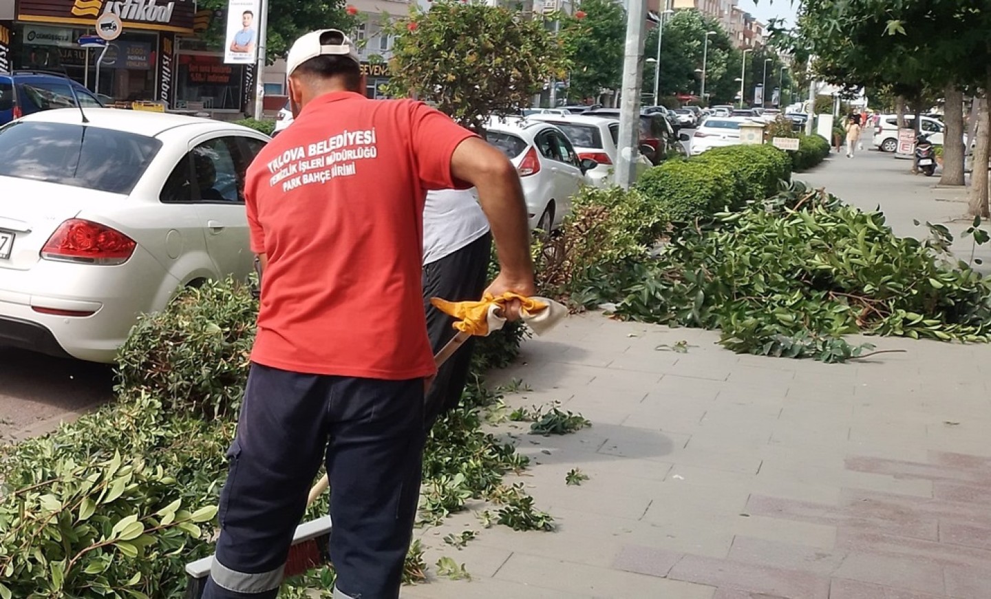 BİTKİ VE ÇALI GRUPLARI TEMİZLENİYOR