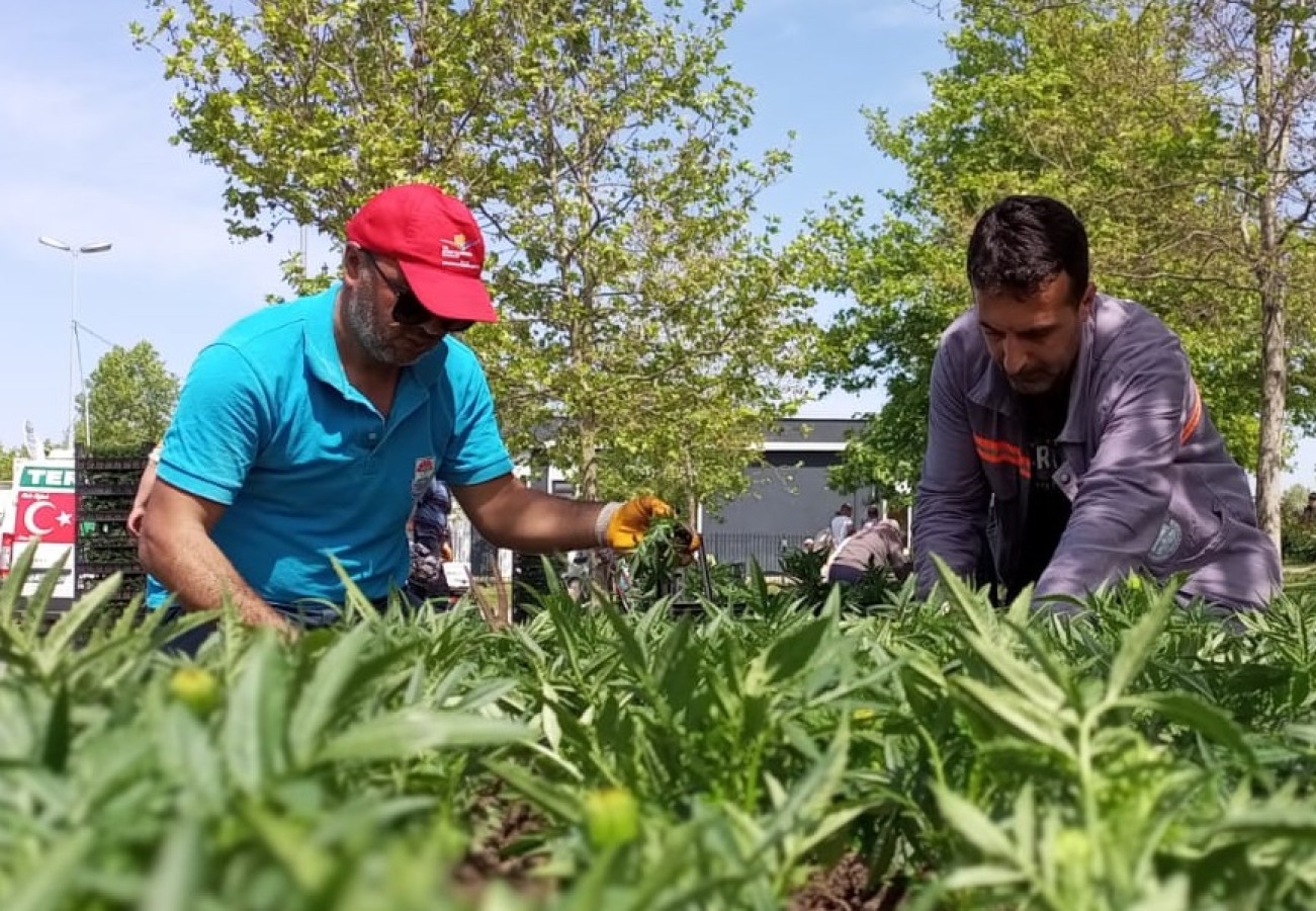 ÇİÇEK KENTİ YALOVA’YA YAKIŞACAK ÇALIŞMALAR YAPILIYOR