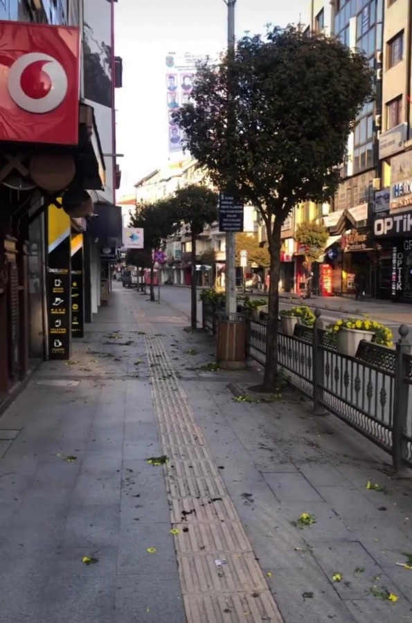 ÇİÇEKLERDEN NE İSTEDİNİZ?