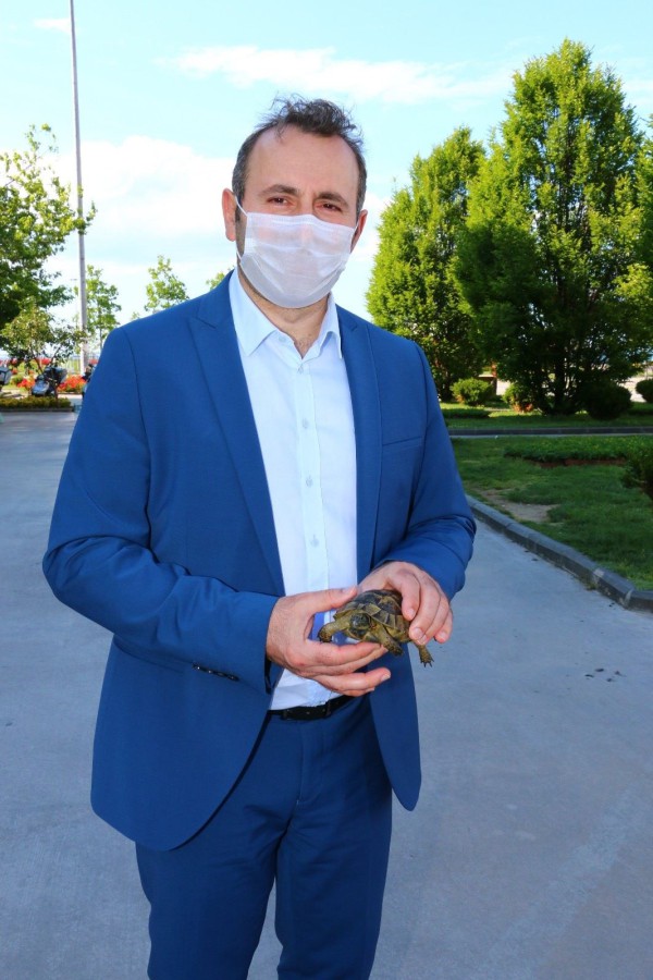 DENİZE DÜŞEN KARA KAPLUMBAĞASININ İMDADINA YALOVA BELEDİYESİ YETİŞTİ