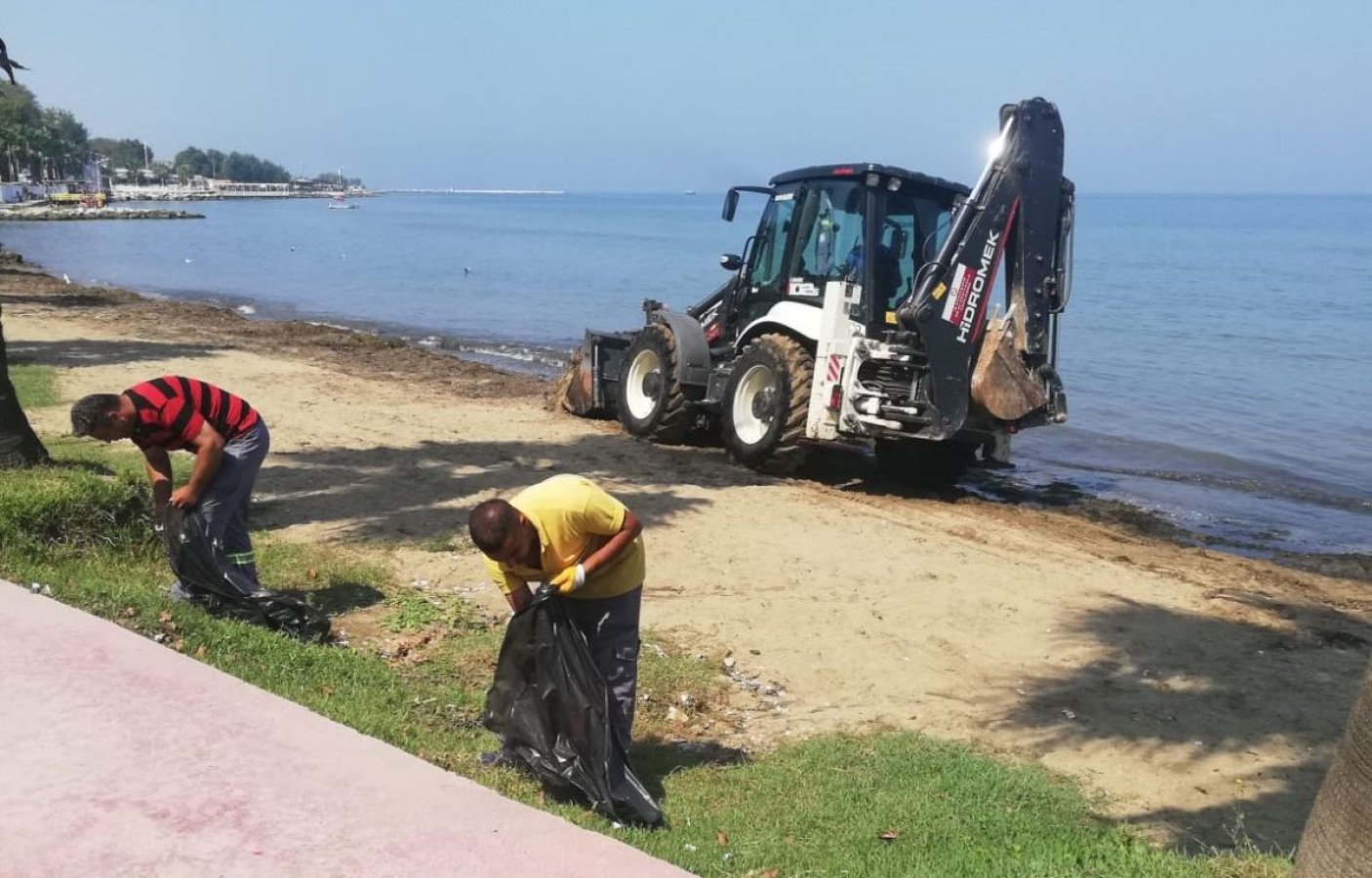 DOĞU VE BATI SAHİL BANDINDA YOSUNLA MÜCADELE DEVAM EDİYOR