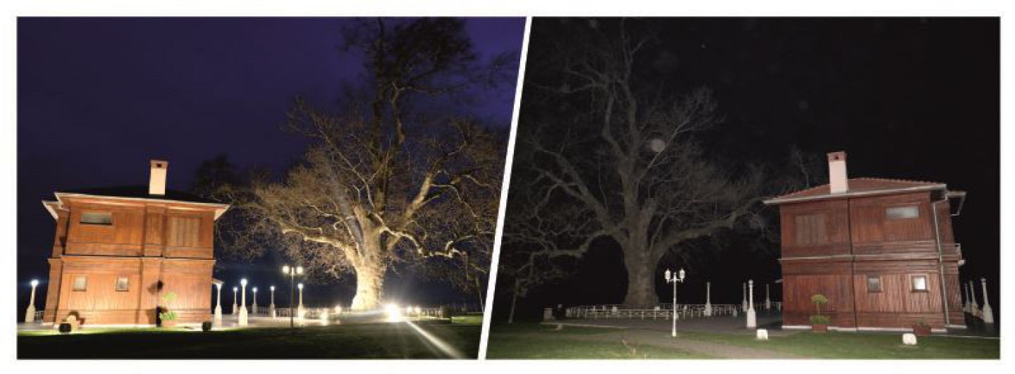 DÜNYA SAATİ ETKİNLİĞİNE DESTEK