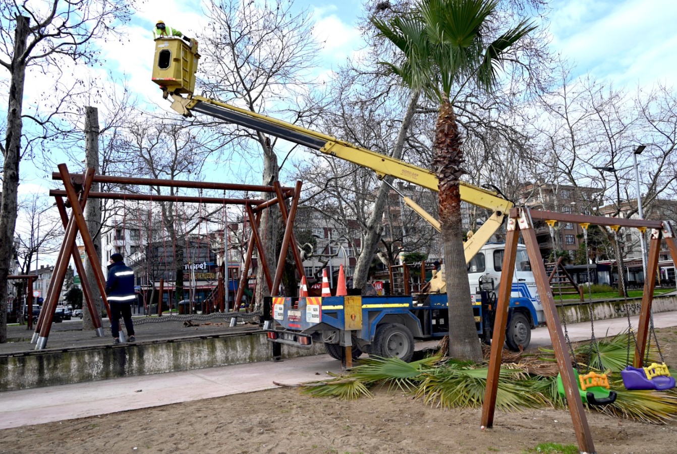 GAZİ PAŞA CADDESİ’NDE BUDAMA DEVAM EDİYOR