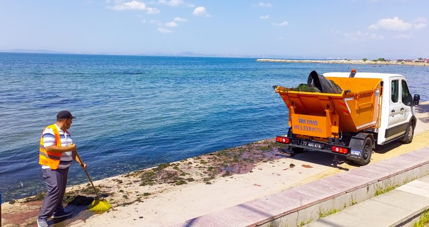 KAYALIK ALANLARDA YOSUNLAR TEMİZLENİYOR