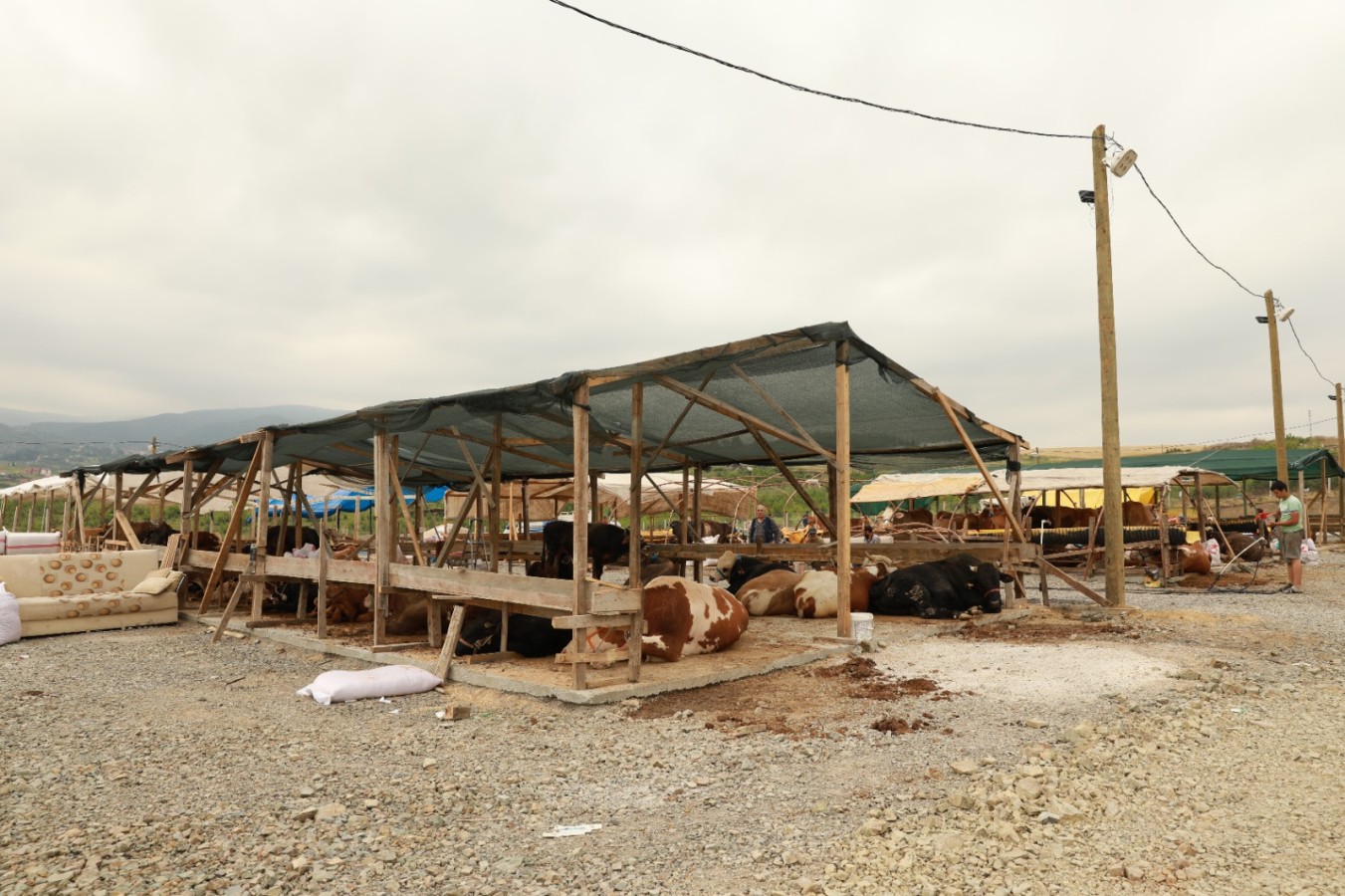 KURBAN PAZARI ARTIK KAZİMİYE KÖYÜNDE…