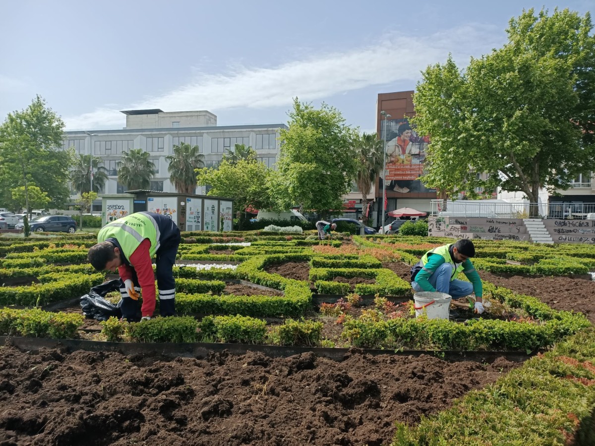 MEVSİMLİK ÇİÇEKLERLE YALOVA RENGARENK OLACAK