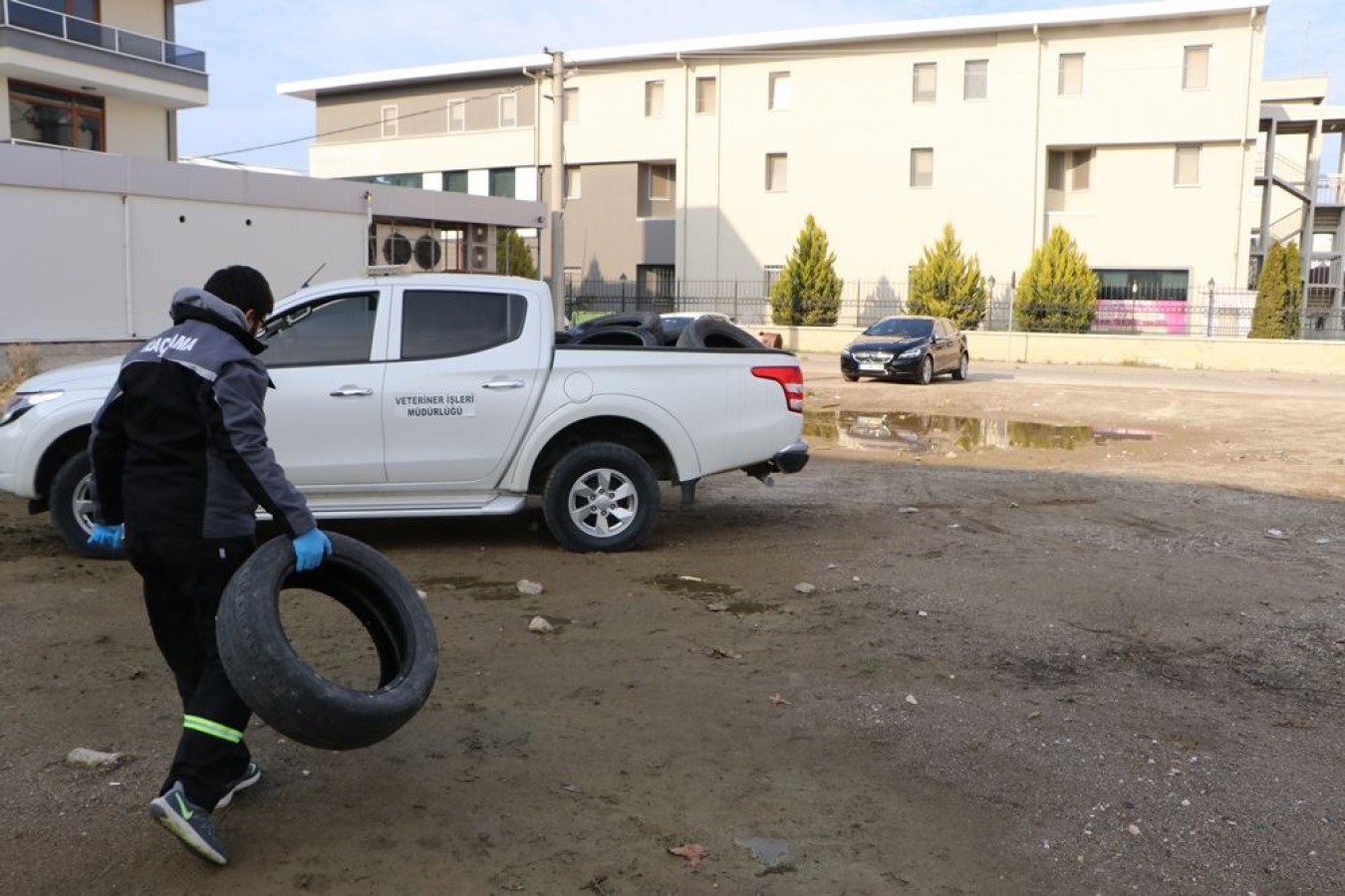 OTO LASTİKLERİ TOPLANIP KEDİ EVLERİNE DÖNÜŞTÜRÜLECEK