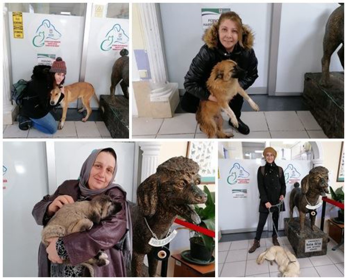 SATIN ALMA SAHİPLEN