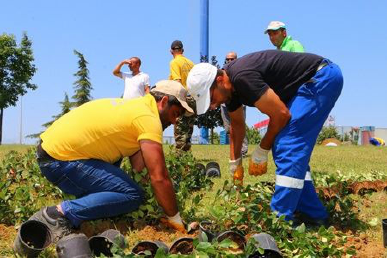 ŞEHRİMİZİN GİRİŞ NOKTALARI GÜZELLEŞİYOR