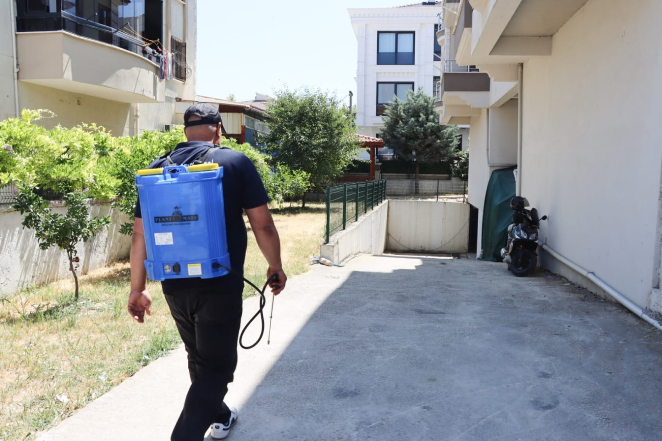 SİVRİSİNEKLE MÜCADELE İÇİN LARVA İLAÇLAMASI