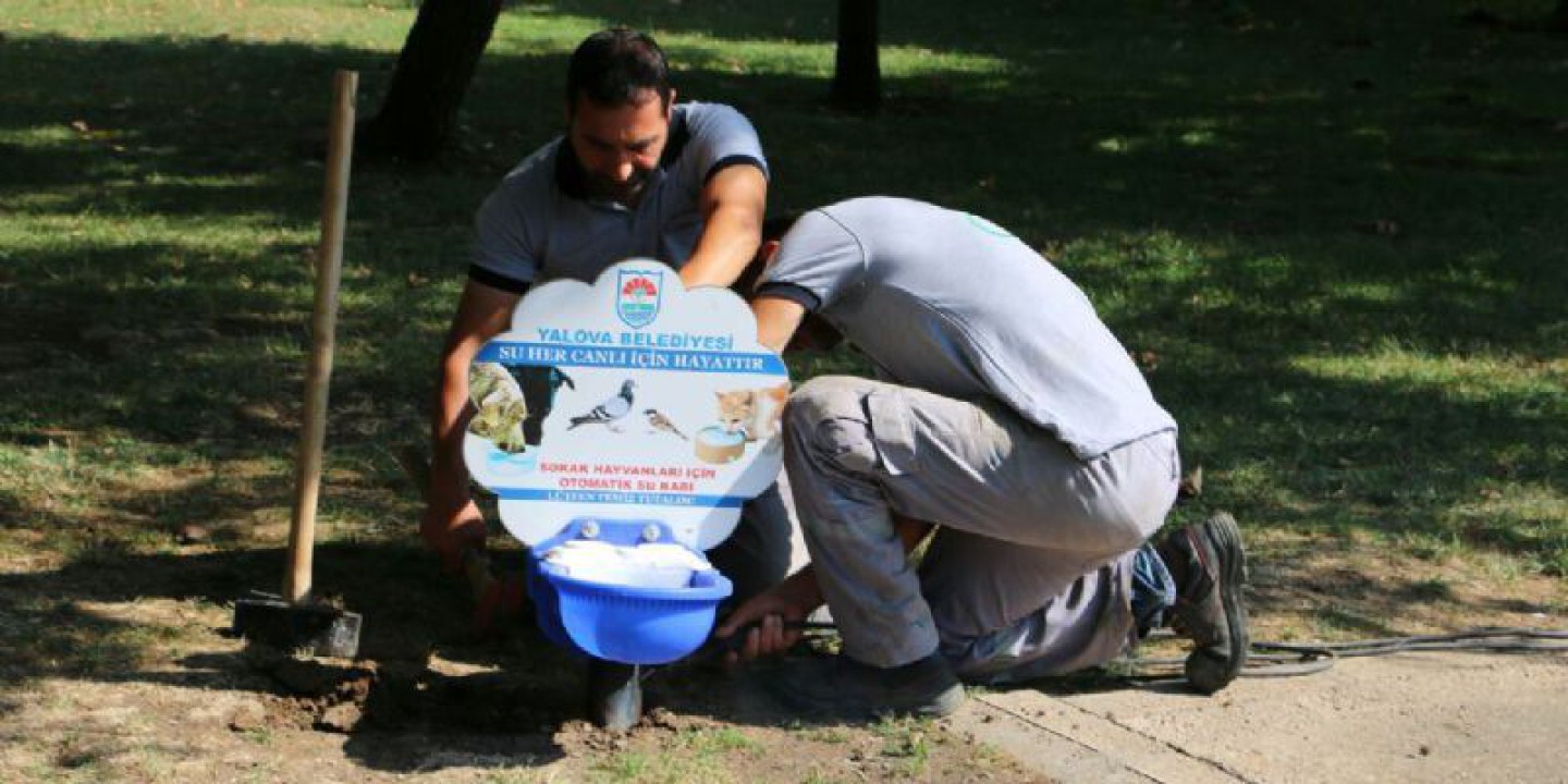 SOKAK HAYVANLARINA OTOTMATİK SU KABI