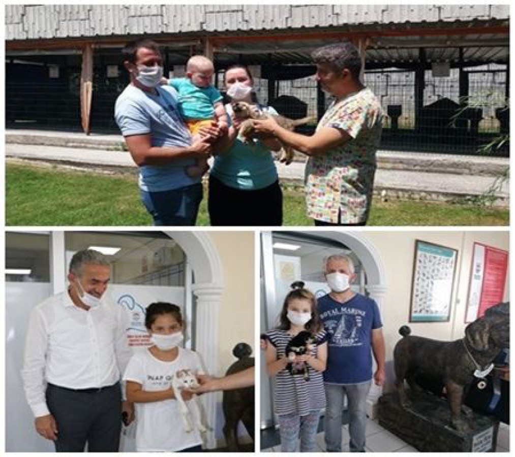 SOKAK HAYVANLARININ SAHİPLENDİRİLMESİ DEVAM EDİYOR