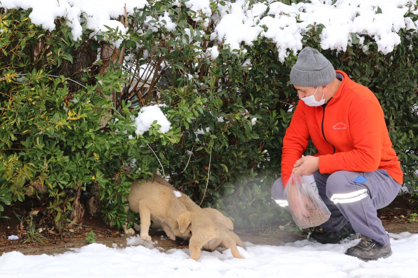 SOKAKTAKİ CANLARIMIZ KAR YAĞIŞINDA DA UNUTULMADI