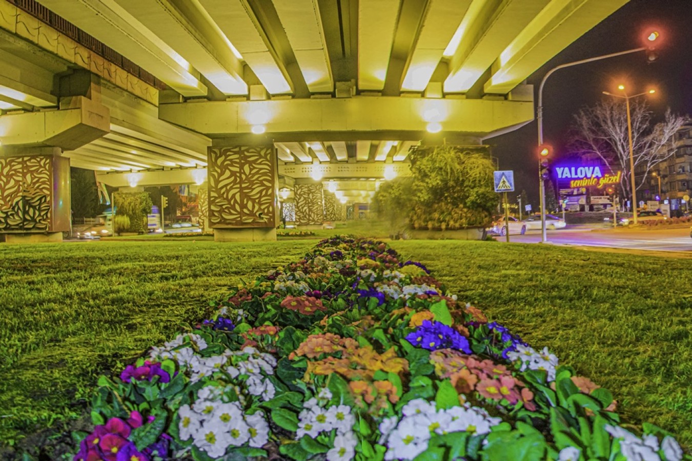 TANOMİ MEYDANI IŞIL IŞIL OLDU