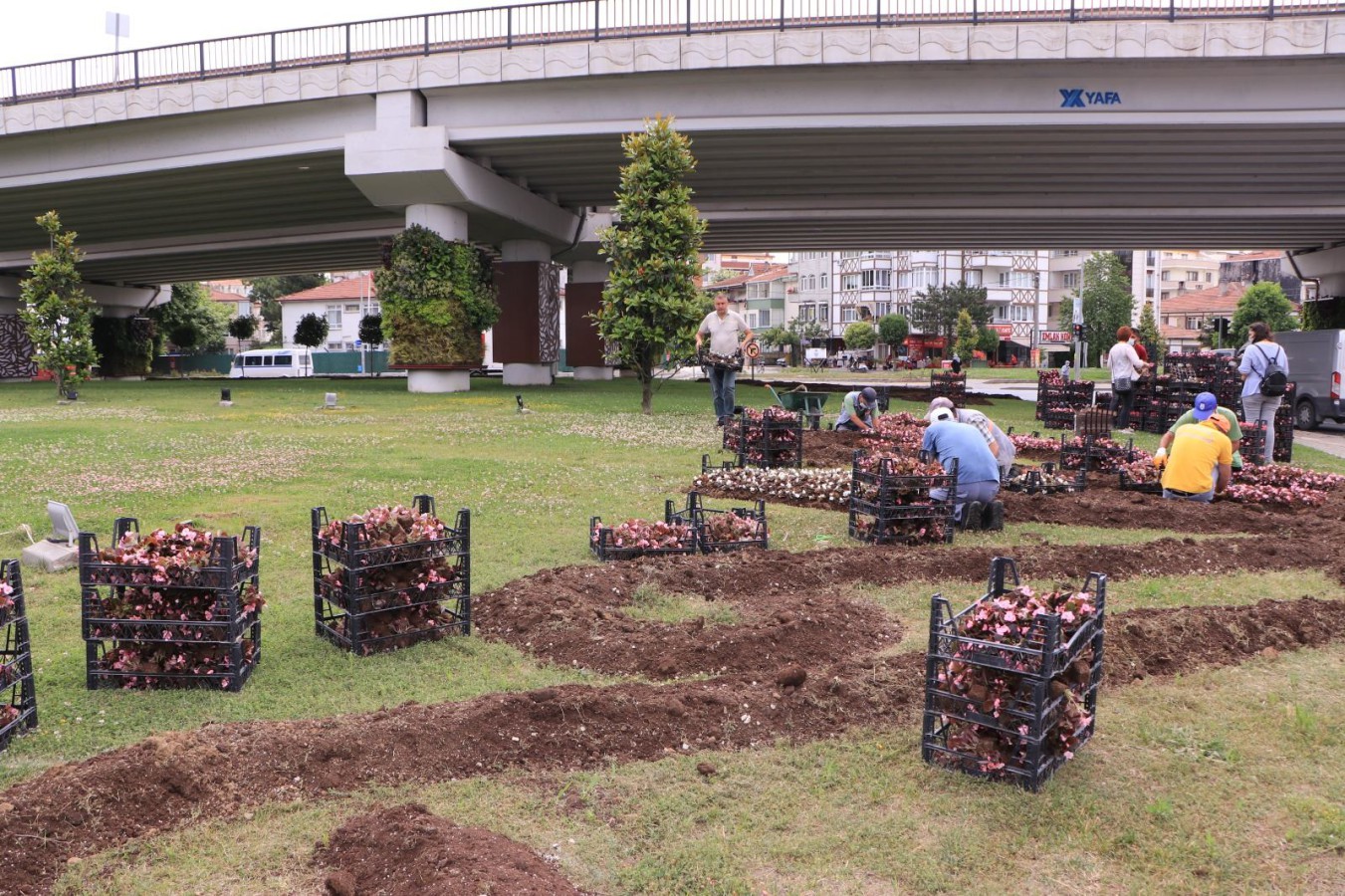 TONAMİ KAVŞAĞI ÇİÇEKLERLE ŞENLENDİ