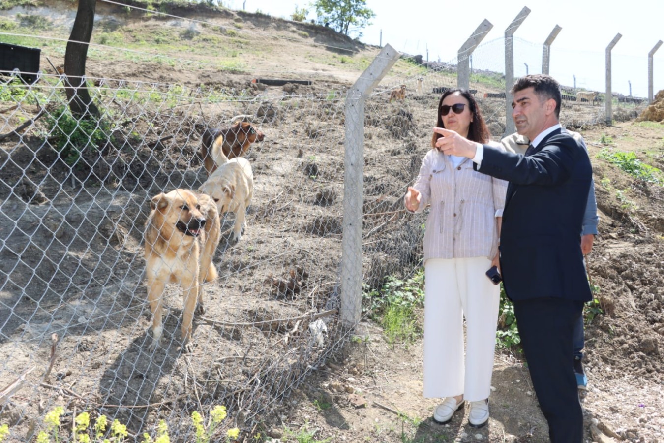 VALİ KAYA’DAN SOKAK HAYVANLARI BAKIMEVİNE ZİYARET