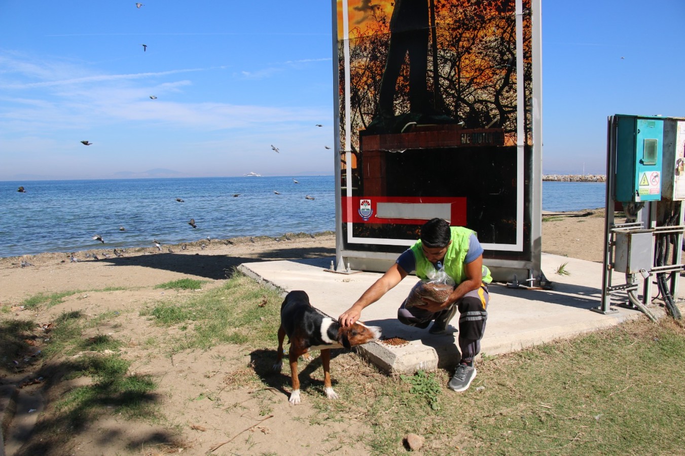 VETERİNERLİKTE EKİM AYI DOLU DOLU GEÇTİ