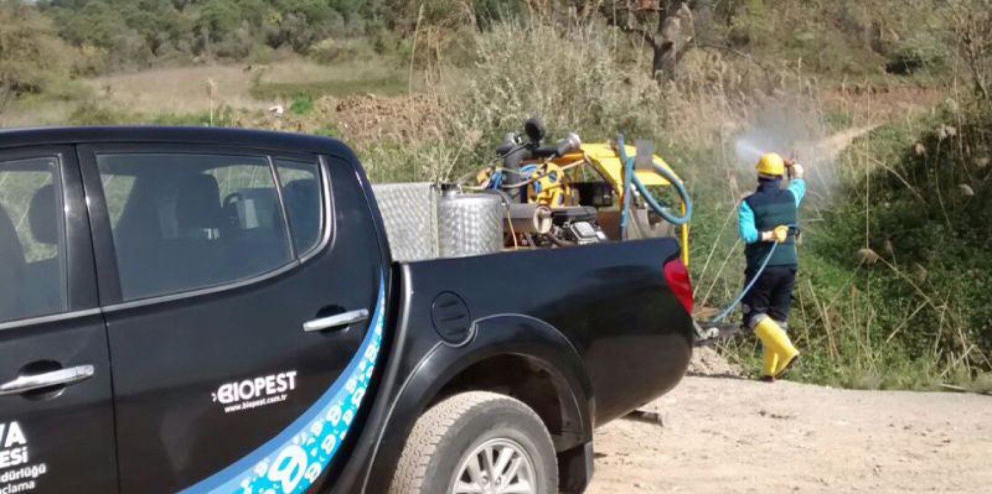 Yalova Belediyesi, İlaçlama Çalışmalarına Başladı