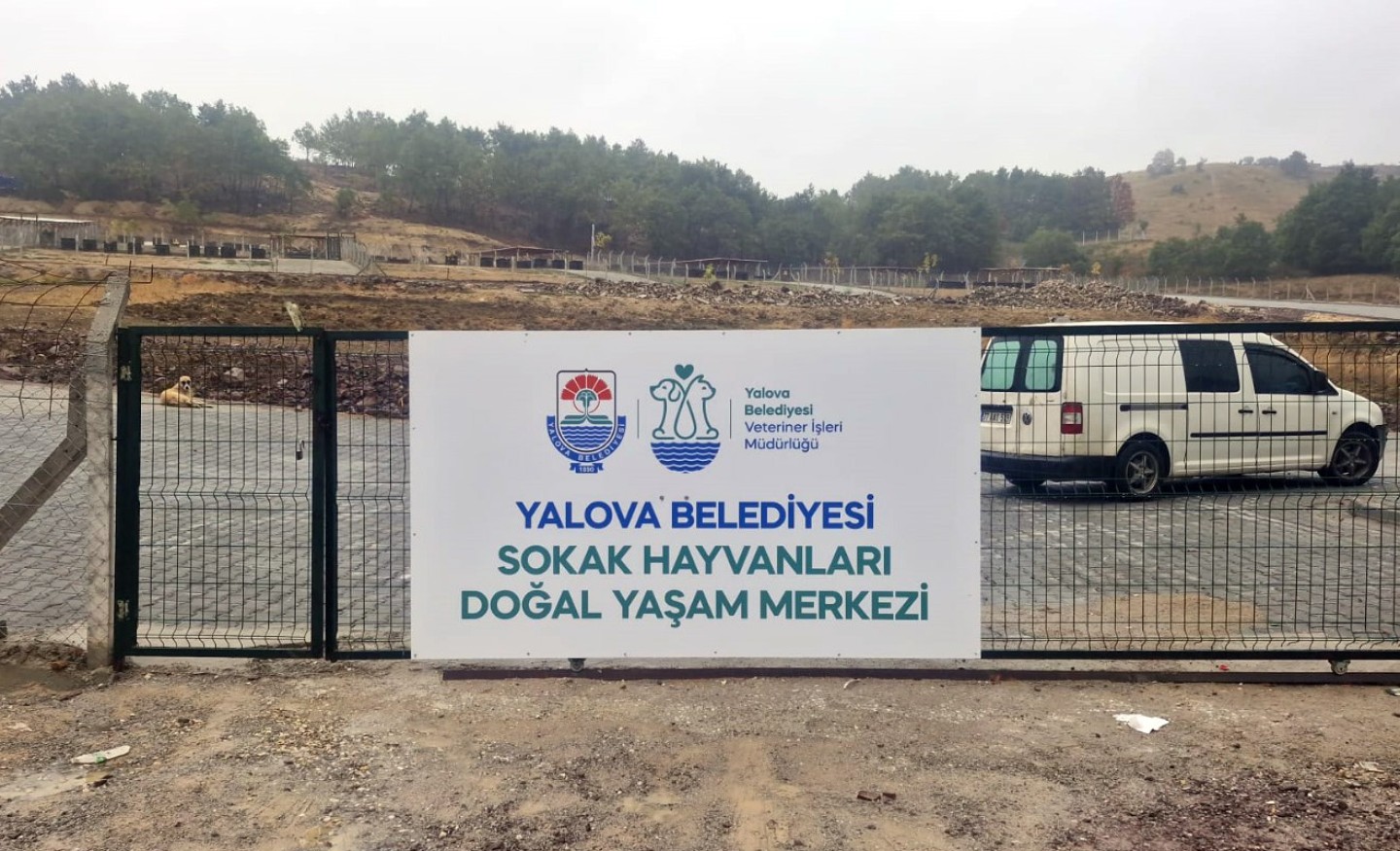 YALOVA BELEDİYESİ SOKAK HAYVANLARI DOĞAL YAŞAM MERKEZİ AÇILIYOR