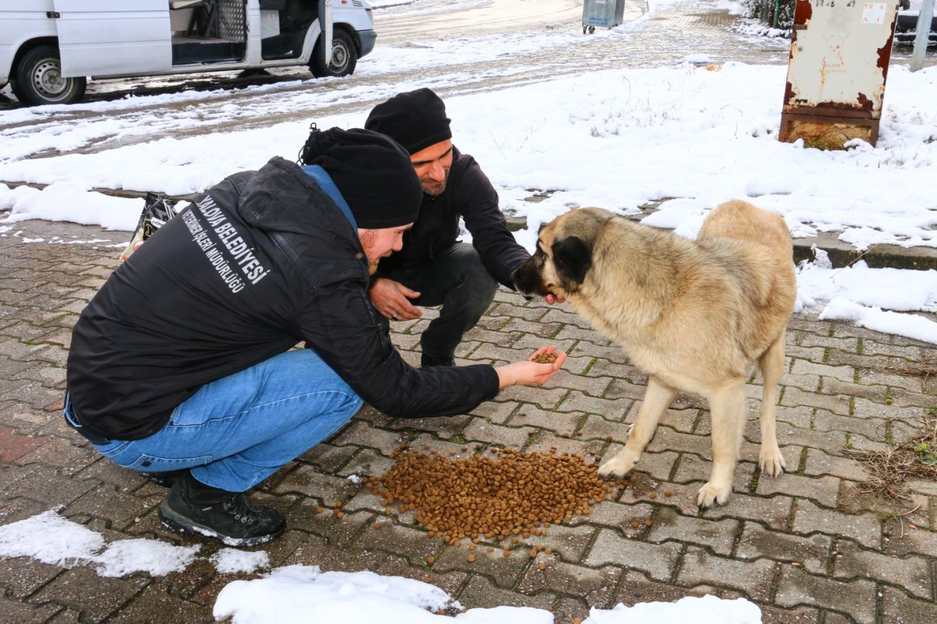 YALOVA BELEDİYESİ SOKAK HAYVANLARI İÇİN SEFERBER OLDU