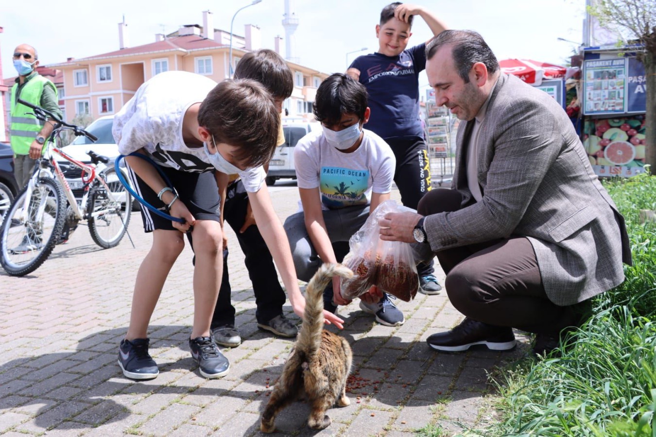 YALOVA BELEDİYESİ SOKAK HAYVANLARINI UNUTMUYOR
