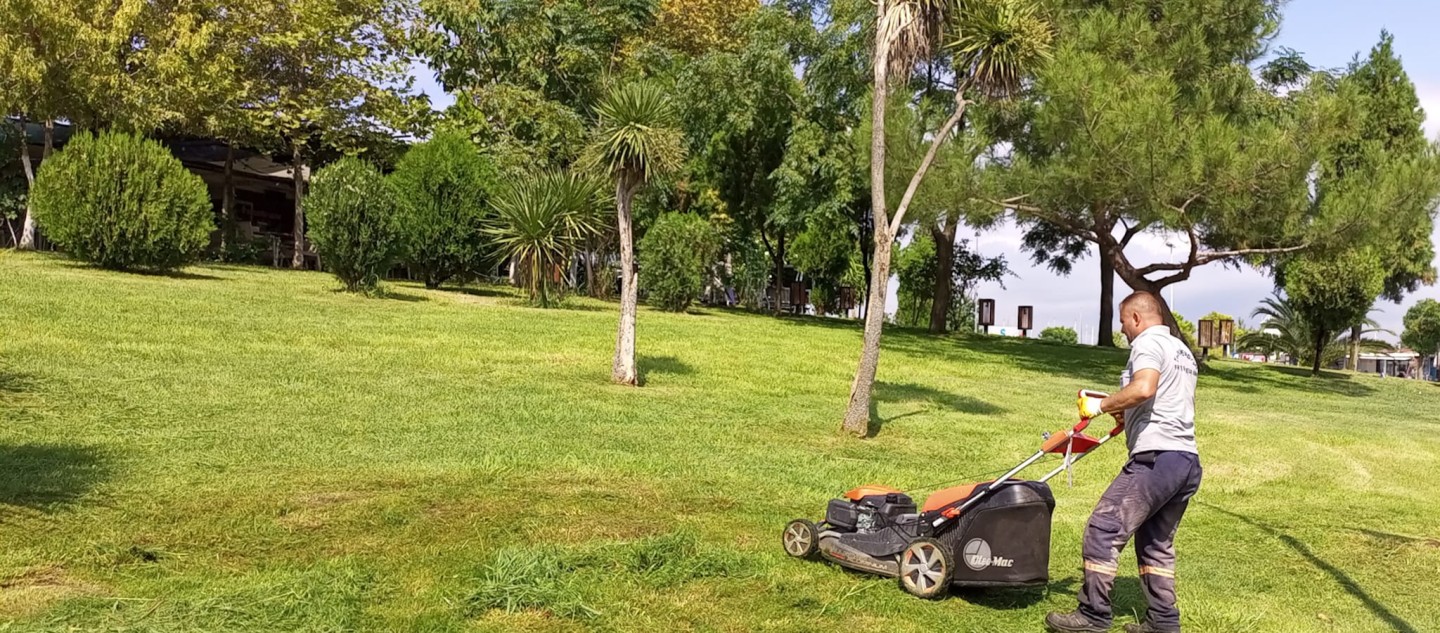 YALOVA BELEDİYESİ TARAFINDAN YABANİ OTLAR BİÇİLİYOR