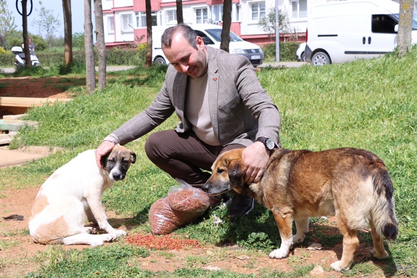 YALOVA BELEDİYESİ’NDEN 2,5 MİLYONLUK ÇEVRE VE HAYVAN DOSTU PROJE