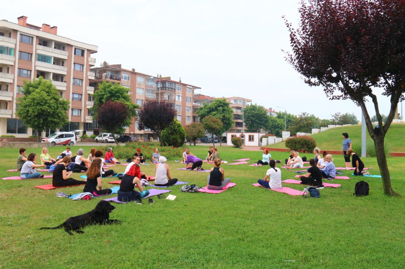 YALOVALI HANIMLAR DÜNYA YOGA GÜNÜNDE BULUŞTU