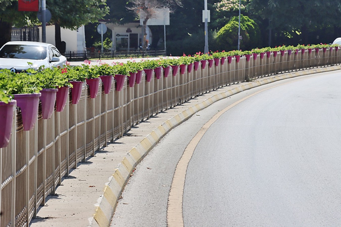 YALOVA’NIN DÖRT BİR YANI ÇİÇEK AÇTI