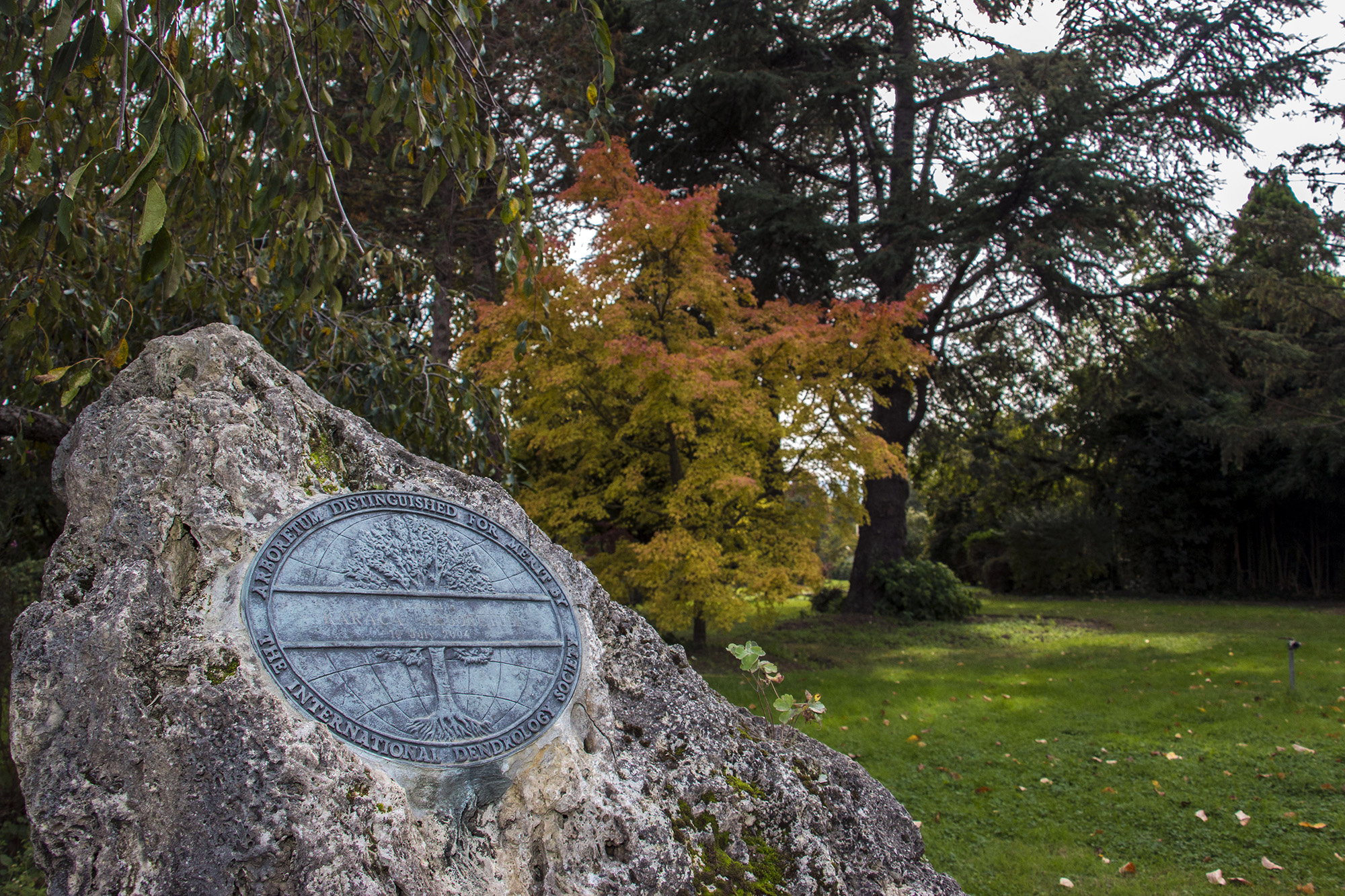 KARACA ARBORETUM CANLI AĞAÇ MÜZESİ